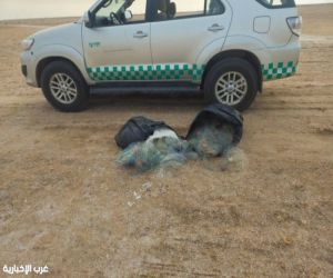 بيئة رابغ تضبط مخالفين لنظام صيد الأسماك