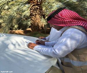 فرع وزارة البيئة والمياه والزراعة بالمدينة المنورة يُكثف جولاته الميدانية على المزارع