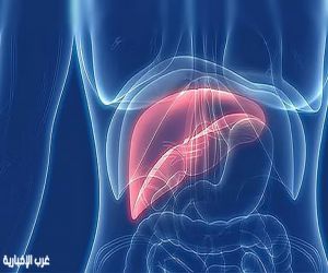 “خبير قلب يحذر: الدهون على الكبد تهدد صحة الشرايين”