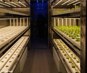 مزرعة ذكية على متن السفن لتزويد العاملين بالمناطق البحرية بالمنتجات الطازجة في الصين