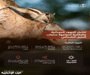 المركز الوطني للحياة الفطرية يسيطر على انتشار سنجاب النخيل الشمالي الغازي في جدة