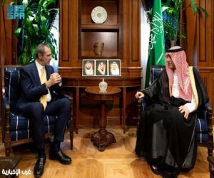 وزير الدولة للشؤون الخارجية يستقبل الرئيس التنفيذي للبيت الأوروبي