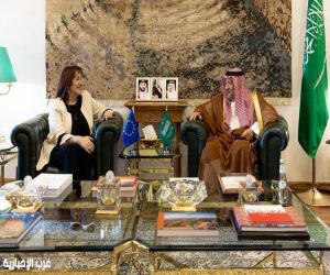 استقبال نائب وزير الخارجية للمفوضة الأوروبية لشؤون البحر الأبيض المتوسط