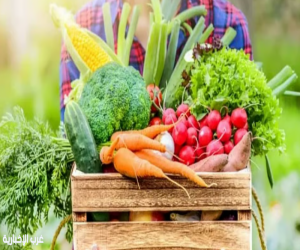 دراسة: 6 فوائد مشروطة للأنظمة الغذائية النباتية للأطفال