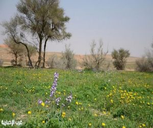 ضبط مخالف تعدّى على محمية التيسية وشرع في الصيد.. وإحالته للنيابة العامة