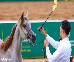 فعاليات ميدان فروسية حائل تُمتع الزوار بمزيج من التراث والترفيه