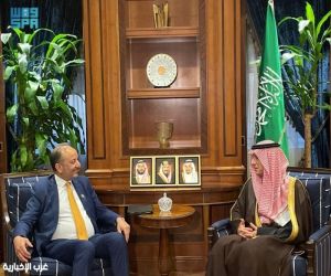 وزير الدولة للشؤون الخارجية يستقبل وزير التغير المناخي الاتحادي الباكستاني