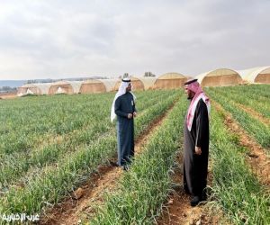 مدير مكتب الوزارة بمحافظة دومة الجندل يزور المشاريع الزراعية ويطلع على البيوت المحمية لإنتاج الخضار