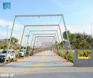 ممشى الورود بنجران.. وجهة حضرية تجذب السكان والزوار