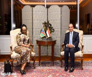 وزير الخارجية المصري يلتقي وزيرة العلاقات الدولية والتجارة في ناميبيا