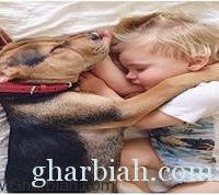 صور/ صداقة مميزة بين طفل وكلب!