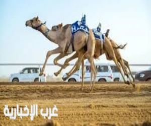 ميدان الهجن بنجران يختتم سباق «الحقايق» ويكشف أسماء الفائزين