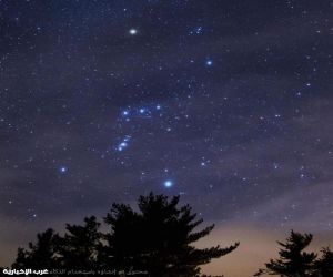 فلكية جدة: النجوم أكثر لمعانًا في فصل الشتاء