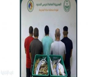 حرس الحدود بالقنفذة يضبط مخالفين لممارسة الصيد دون تصريح