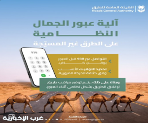 الهيئة العامة للطرق تحدد آلية عبور الإبل عبر الطرق غير المسيجة