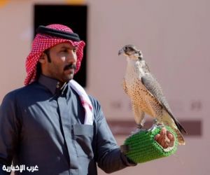 مهرجان الملك عبدالعزيز للصقور 2025 يدخل مرحلة الحسم بأشواط كؤوس الملك