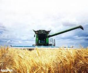 الزراعة الأسترالية تسجّل رقمًا قياسيًا تاريخيًا بقيمة تقارب 100 مليار دولار