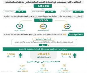 الحملات الأمنية تكشف عن ضبط 18 ألف مخالف للإقامة والعمل وأمن الحدود خلال أسبوع