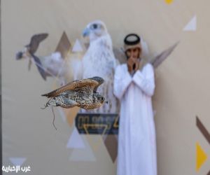 ختام منافسات الملاك الدوليين بمهرجان الملك عبدالعزيز للصقور 2025