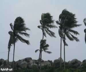 الأرصاد: تنبّه من رياح نشطة تُقلِّص الرؤية في الشرقية حتى المساء