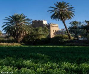 الأنماط العمرانية القديمة بنجران.. مخازن الذاكرة وعبقرية الإنسان