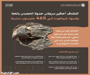 الهيئة الملكية لمحافظة العُلا تعلن عن اكتشاف علمي لأحافير نادرة تعود إلى 465 مليون سنة