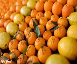 الهيئة الملكية لمحافظة العُلا تُطلق  موسم العُلا للحمضيات بحله جديده