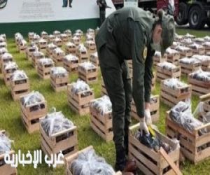 كوكايين داخل الباذنجان.. كلب يكشف 31 كيلو مخدرات فى الأرجنتين