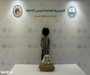 حرس الحدود بعسير يُحبط تهريب 14 كيلوجرامًا من نبات القات