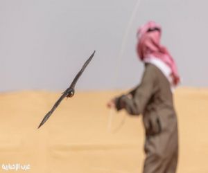 مهرجان الملك عبدالعزيز للصقور 2025 يختتم مسابقاته بمشاركة 3536 صقرًا