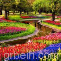 حديقة كيوكينهوف في هولندا اجمل حديقة في العالم