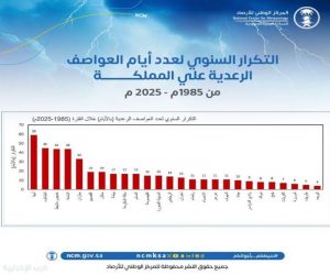 تقرير مناخي: أبها الأعلى في عدد أيام العواصف الرعدية بالمملكة خلال 40 عامًا