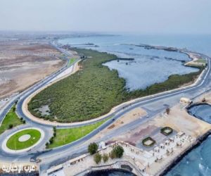 جزيرة المرجان.. جوهرة سياحية على شواطئ جازان