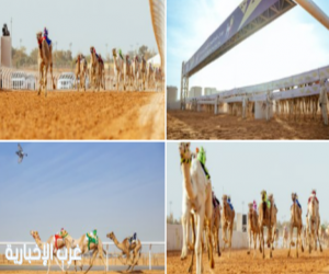 الهجن السعودية تهيمن على افتتاح مهرجان خادم الحرمين الشريفين للهجن 2026