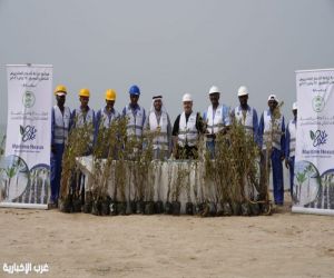 إطلاق مبادرة لزراعة 10,000 شتلة مانجروف على سواحل جدة