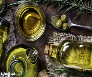 زيت الزيتون البكر يحسن الذاكرة عبر تأثيره على أمعاء الإنسان