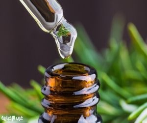 دراسة تكشف فوائد إكليل الجبل لمرضى السرطان