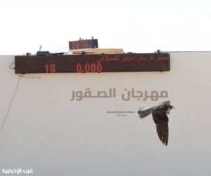 مجسمات إبداعية من جذوع النخيل في مهرجان الصقور بالحدود الشمالية