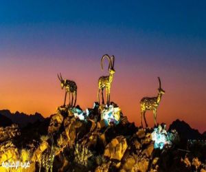 مجسمات إبداعية من جذوع النخيل في مهرجان الصقور بالحدود الشمالية