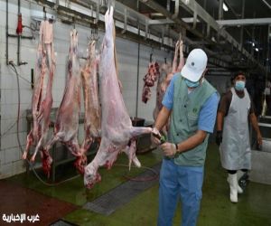 أمانة مكة تكثف الجولات الرقابية استعدادًا لشهر رمضان