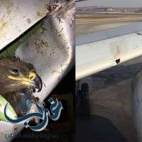 شاهد: ما أحدثه طائر في جناح طائرة تابعة لـ السعودية
