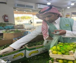 بيئة رابغ تكثّف رقابتها على متبقيات المبيدات في الأسواق