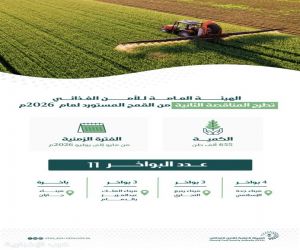 الأمن الغذائي يطرح مناقصة لاستيراد 655 ألف طن قمح في 2026