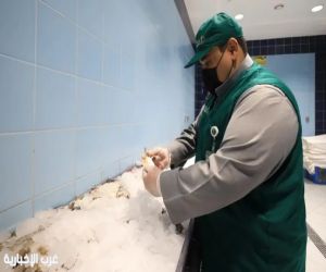 بيئة القصيم تُطلق حملة "رقابتنا على الأسواق والمسالخ لعيد صحي وآمن"