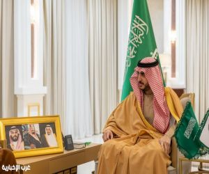 أمير منطقة الجوف يستقبل الرئيس التنفيذي لتجمع الجوف الصحي