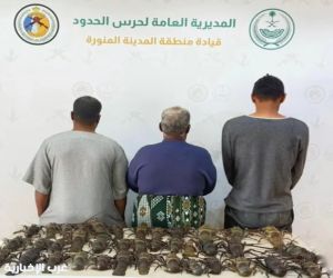 مخالفو الصيد غير القانوني في ينبع تحت إجراءات حرس الحدود