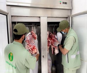 "بيئة دومة الجندل " تكثف جولاتها الرقابية على الأسواق والمسالخ  استعداداً لعيد الفطر المبارك وترصد عدداً من المخالفات