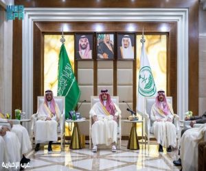 وزير الداخلية ينقل تهنئة القيادة لمنسوبي الأمن ويشيد بجهودهم في حفظ الاستقرار