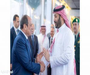 عضو مجلس الشيوخ: زيارات الرئيس لدول الخليج تؤكد أن أمن المنطقة العربية جزءا أساسيًا من الأمن القومي المصري