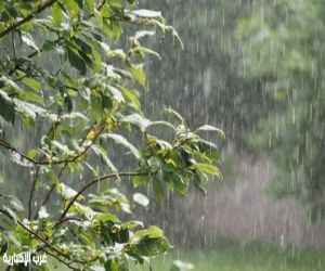 أمطار متفرقة وغزيرة تضرب عدة مناطق.. وتحذيرات من سيول ورياح شديدة